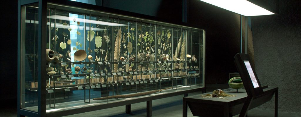 Museo de Ciencias naturales de Barcelona