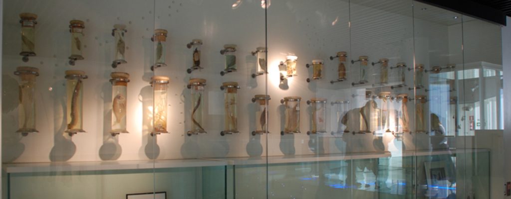 Museo Aquarium Donostia