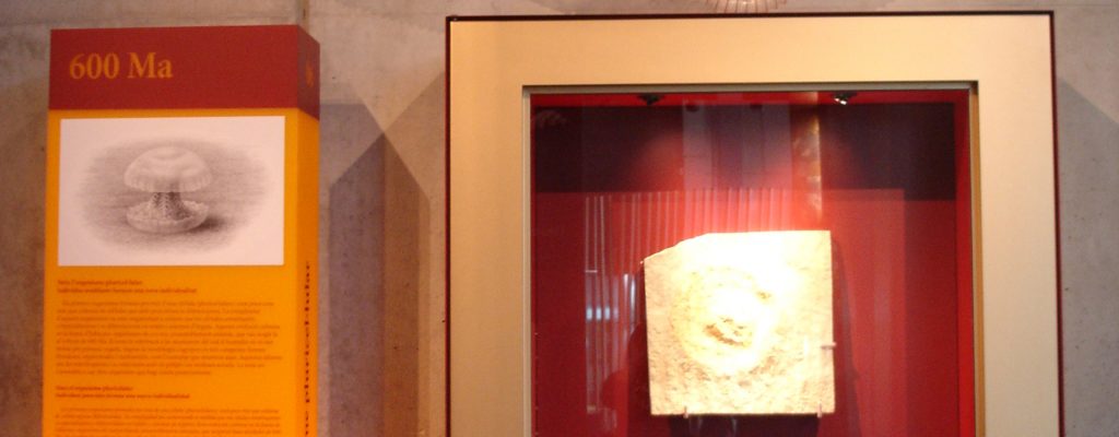 Museo de la Ciencia de Barcelona Exposición permanente “La historia más bella del cosmos”