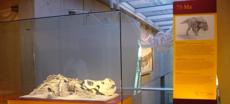 Museo de la Ciencia de Barcelona Exposición permanente “La historia más bella del cosmos”