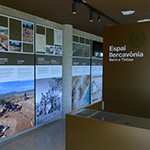 llercavónia center. Iberians in Tivissa