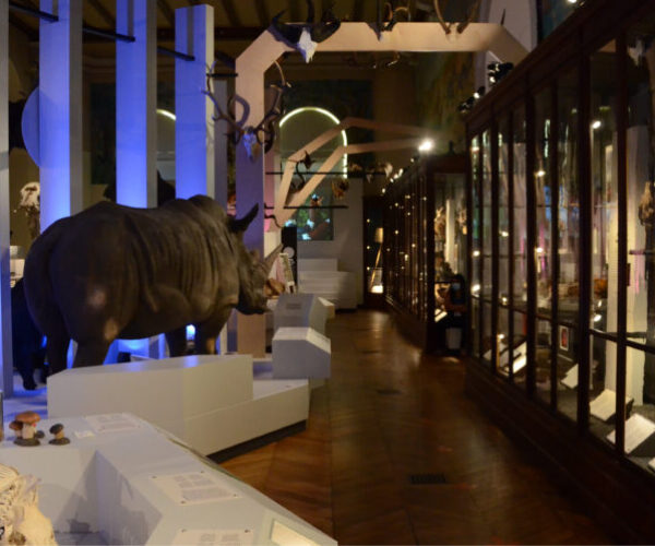  Muséum d’Histoire Naturelle de Marseille